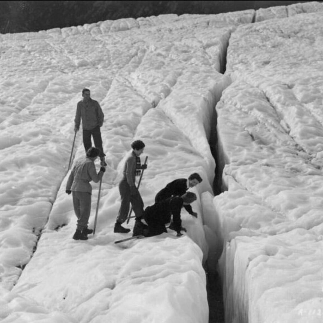 Party_inspecting_a_crevasse_on_the_Fox_Glacier_(3307743585) Party_inspecting_a_crevasse_on_the_Fox_Glacier_(3307743585)